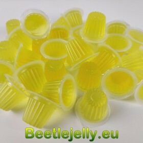 Beetle Jelly Case 16g Banana