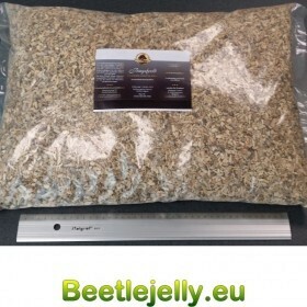 21L White rotten wood -...