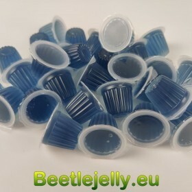 Blueberry Beetle Jelly Case...