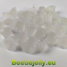 Peach Beetle Jelly Case...