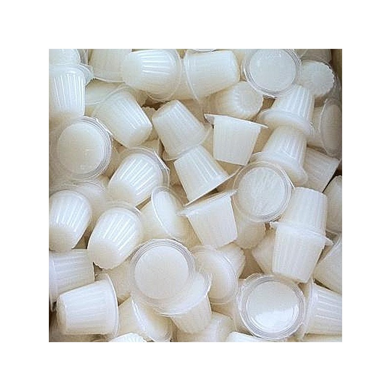 Beetle Jelly Case 16g Lactic acid