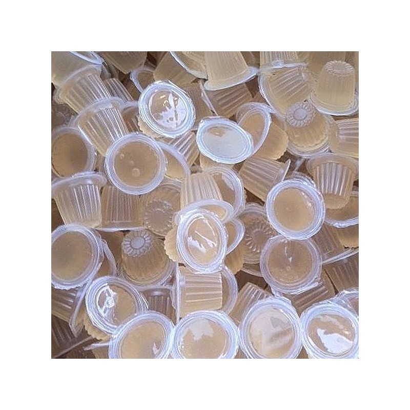 Beetle Jelly Case 16g Honey