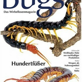 Bugs Magazine nr.8  -...