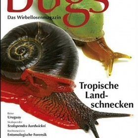 Bugs Magazine nr.3 - Tropische Landschnecken