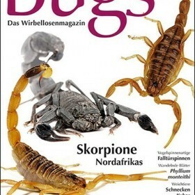 Bugs Magazine nr.5 - Skorpione Nordafrikas