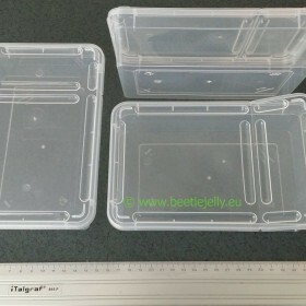 Braplast 800ml clear box