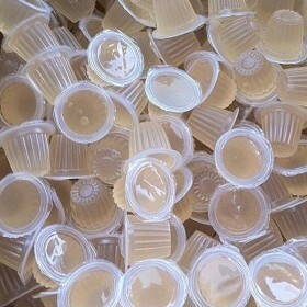 Beetle Jelly Case 16g Honey