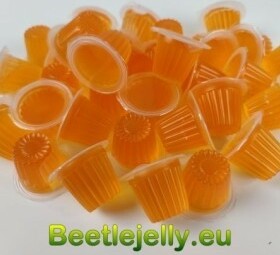 Beetle Jelly Case 16g Orange.